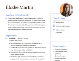 experience professionnel