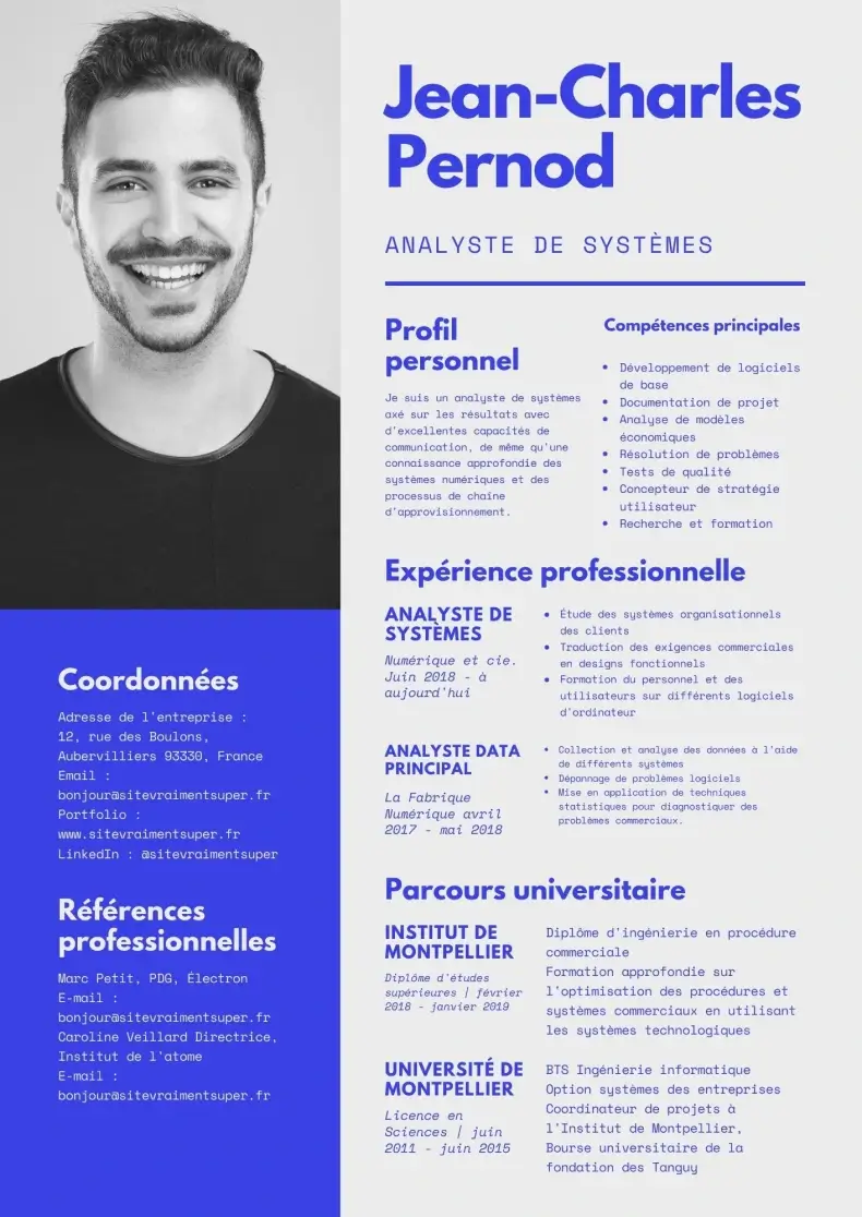 Analyste de systèmes