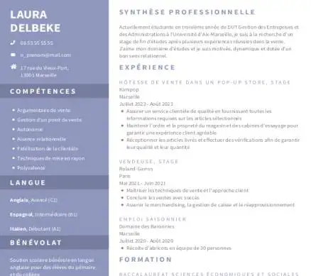 Compétence professionnelle CV - Enseignant