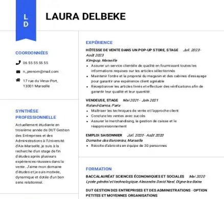 Compétence professionnelle CV - Marketing