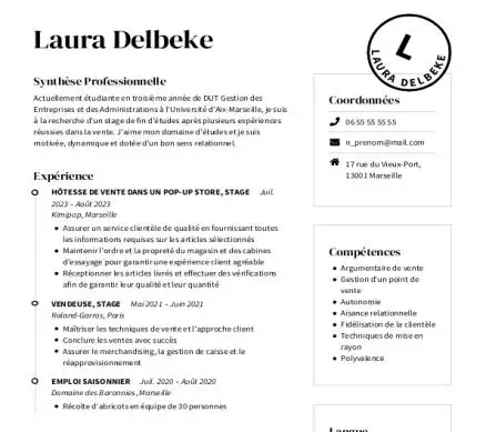 Compétence professionnelle CV - Designer