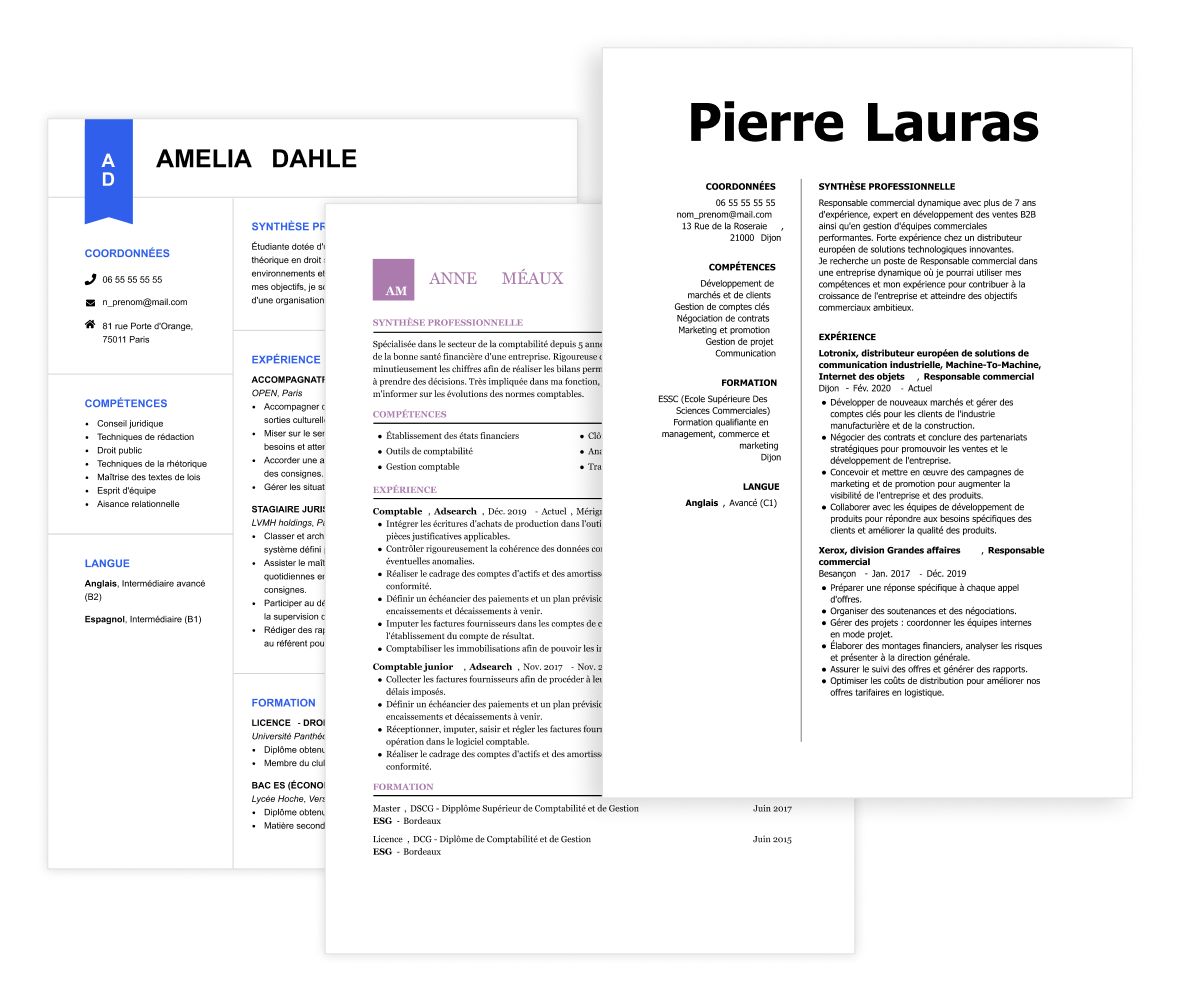 francais CV exemple simple
