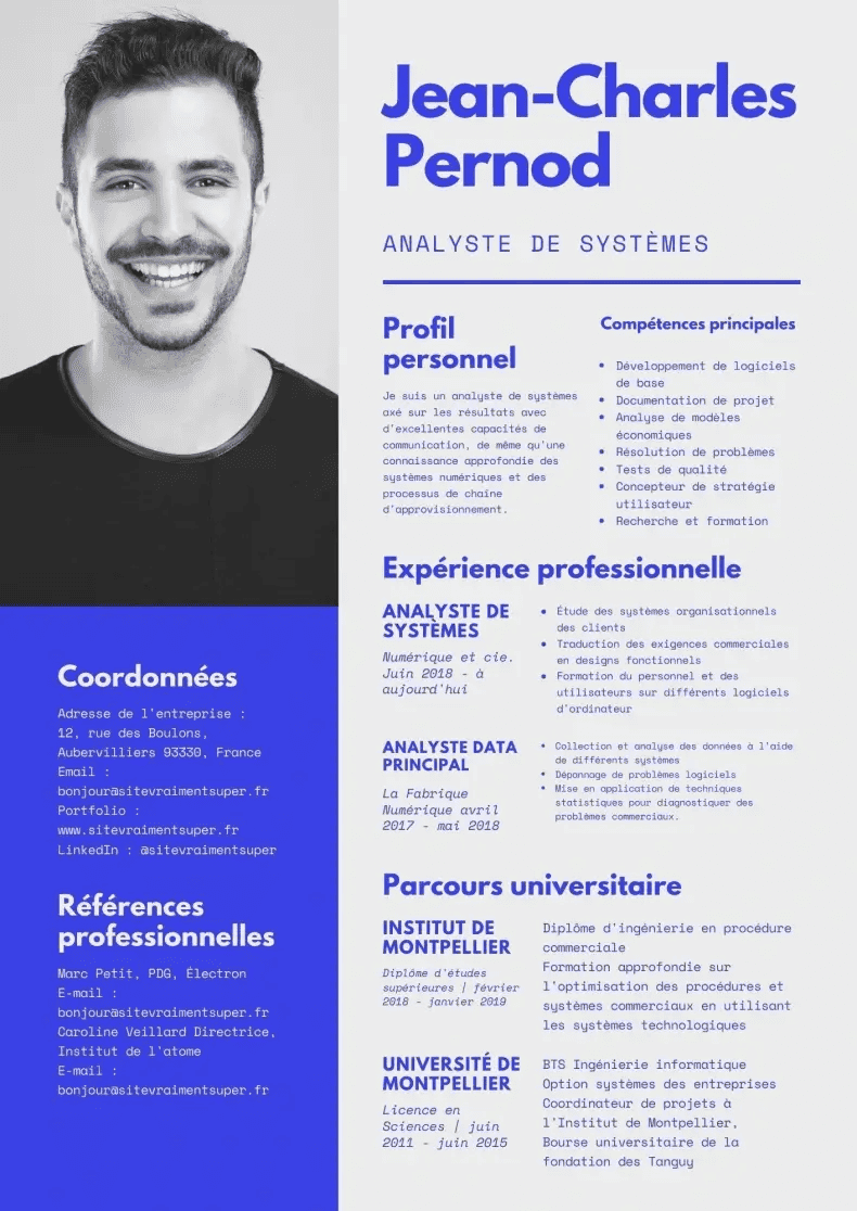 Canva CV gratuit - Analyste de systèmes