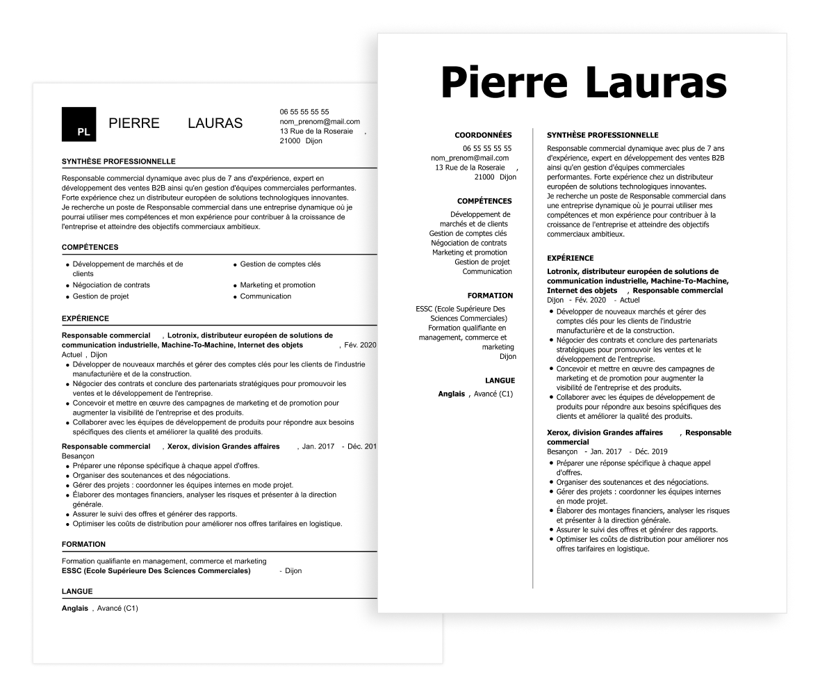 responsable commercial cv