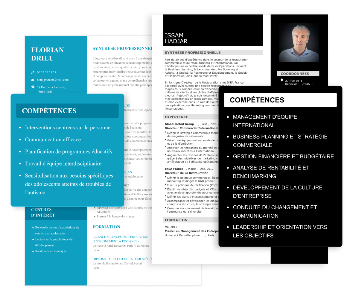 Compétence professionnelle CV